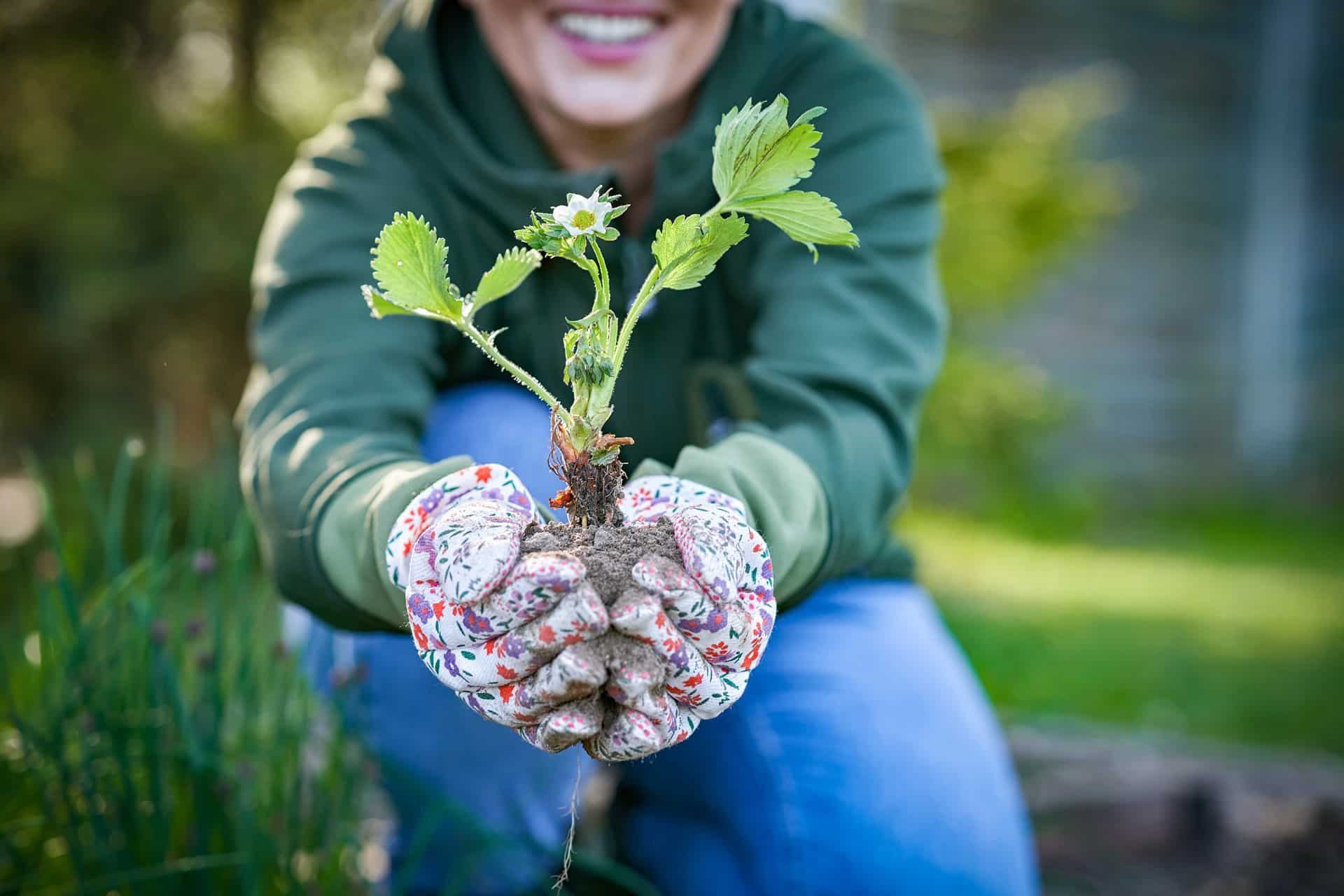 Ecotherapy