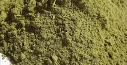 Banaba Leaf Extract