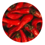 Cayenne Pepper Extract