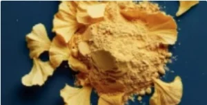 Ginkgo Biloba Powder