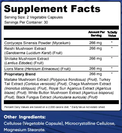 NervoLink Ingredients