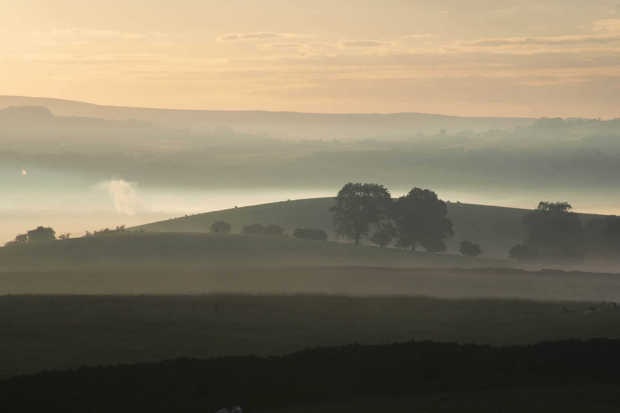 nlc broughton vista background scaled